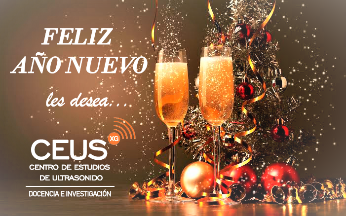 CEUSDOCENCIA's tweet photo. FELIZ AÑO 2021!!!

QUE EL AÑO VENIDERO ESTÉ LLENO DE PAZ ESPIRITUAL, FORTALEZA FAMILIAR y PROSPERIDAD PROFESIONAL.

SON LOS SINCEROS DESEOS DE CEUS A NUESTROS PROFESORES, EX-ALUMNOS, COLEGAS y AMIGOS.

PRONTO NOVEDADES!!! https://t.co/YaDxaL7EOS