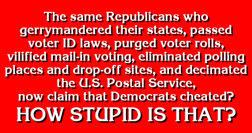TrumpHasGot2Go's tweet photo. @realDonaldTrump #TrumpLost ~ 81 Intelligent Americans #Voted #BidenHarrisToSaveAmerica from #Trumpism #Racism #PromotionofHateandViolence #Ignorance #Lies #Corruption #BriberyandExtortion #ObstructionofJustice & #ThatNastyOrangeStainthatDestroyedAmerica https://t.co/5zDmGLS3Jj