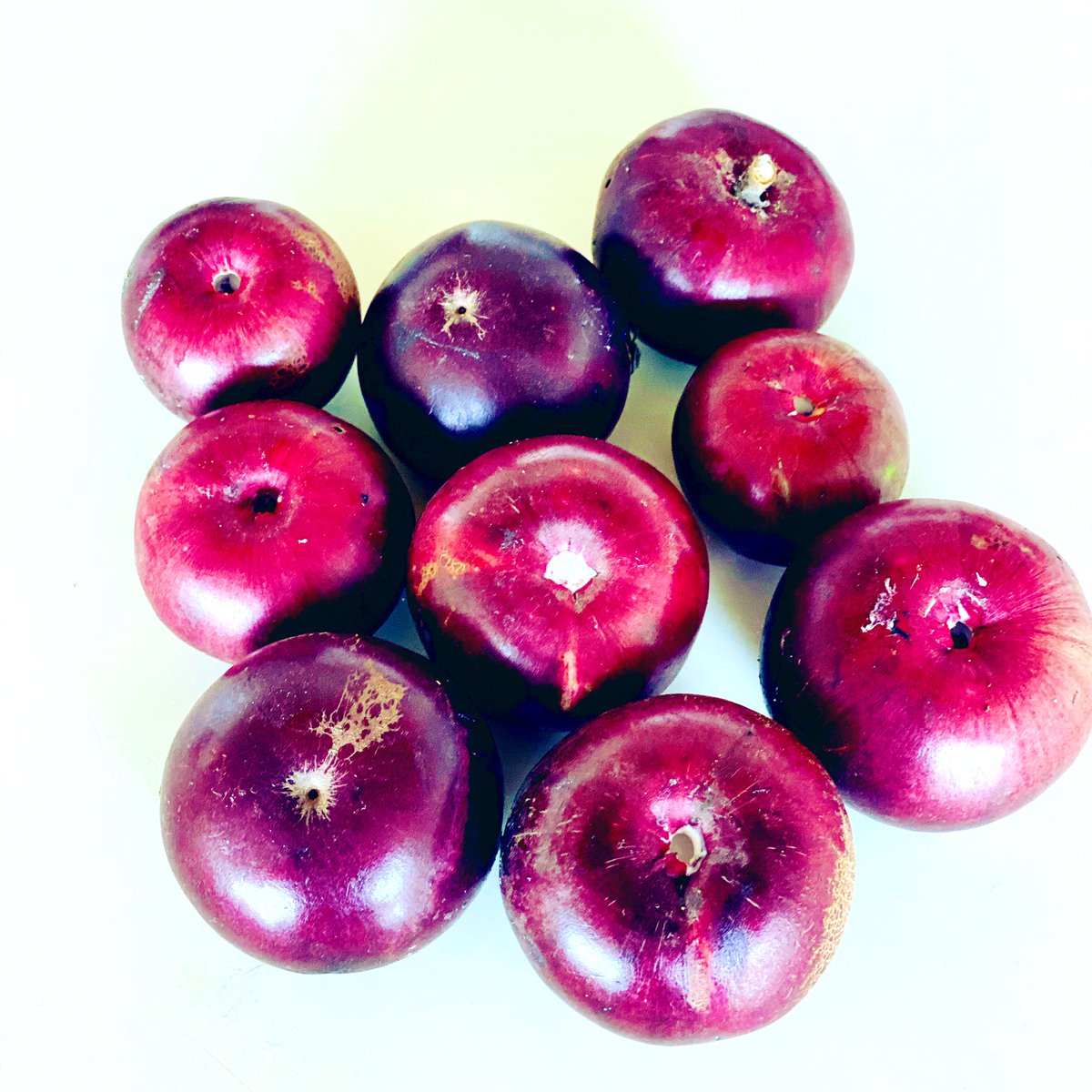rodrigopachecoE's tweet photo. Caimito de temporada! Al respetar los ciclos de vida de las plantas contribuimos a preservar su salud, la del suelo y la nuestra.
@FAO @FAOEcuador 
#iyph2020🌿 
#edibleforest https://t.co/SoqVqXeGoR