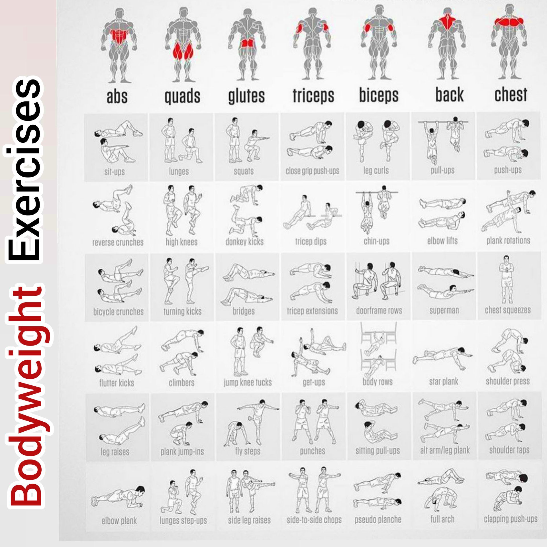 Fitistan Fit on X No Gym No Equipment No issue Here is the complete guide of body weight workout for you BodyWeightExercises https t uF6wAAjge2 X
