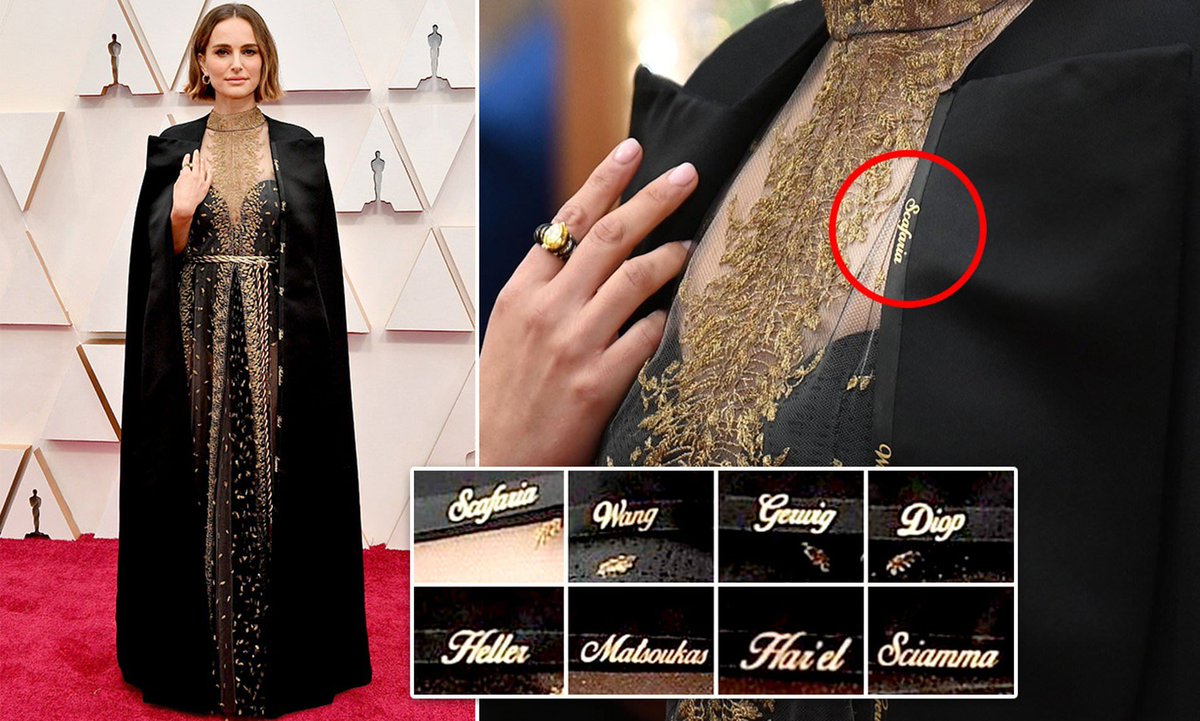 Despite making some of the most prominent, critically acclaimed movies of 2019 women directors are shut out of Directing category at the Oscars. Natalie Portman celebrates them by wearing a cape bearing the names of some of the directors to the awards ceremony.