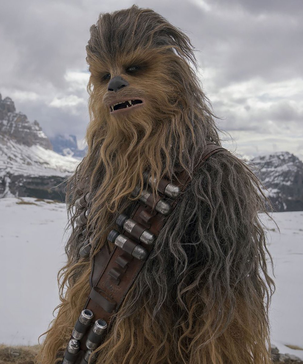 Chewbacca cooks a huge feast for his family and friends for New Years Day.