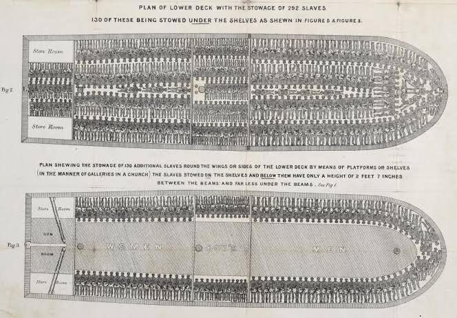 That significantly reduced the horrendous death rates onboard ship. Slave traders cared about this not because of any sense of humanity but because it improved their profit margins.