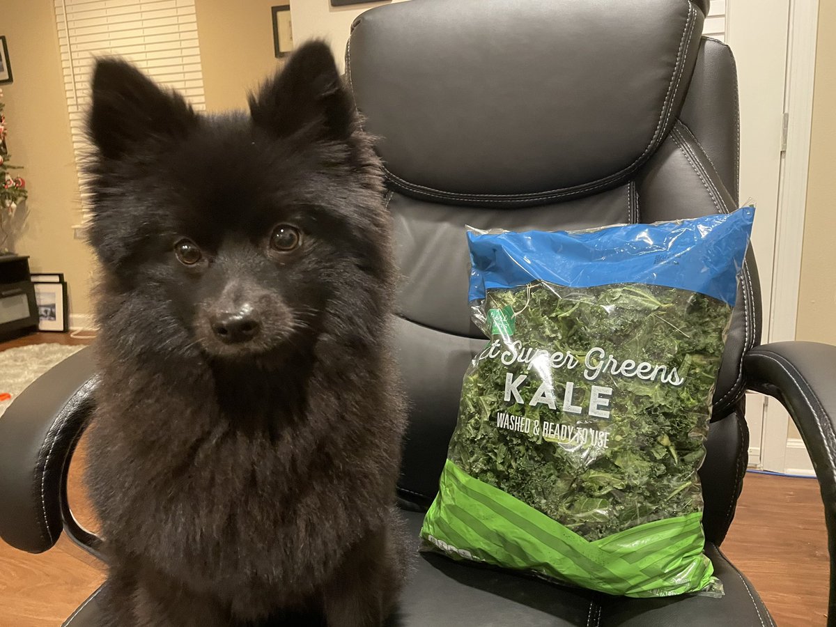 Nicole Krentz tweet media