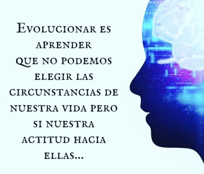 RedSerNet's tweet image. 