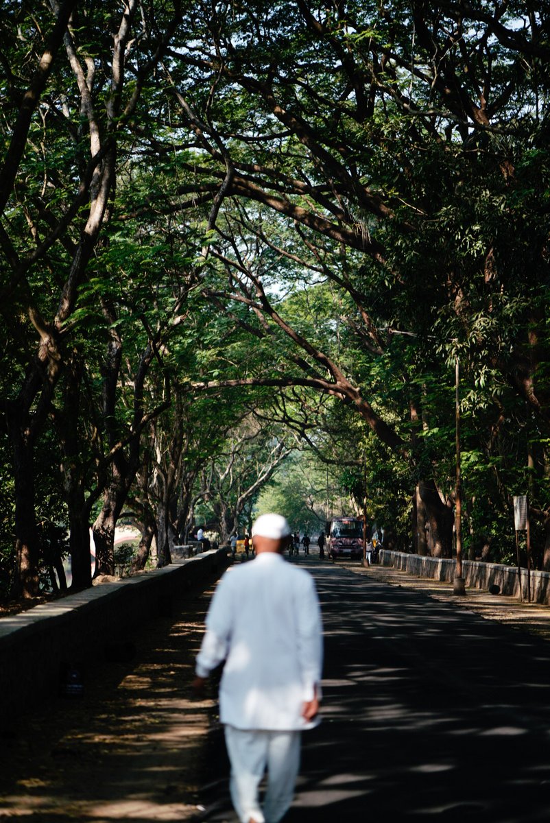 rajeshpatel29's tweet photo. Good morning will great morning if trees are beside the road.#sgnp #protectrees #rajeshpatelphotography #morning https://t.co/3i4cHtkdkD