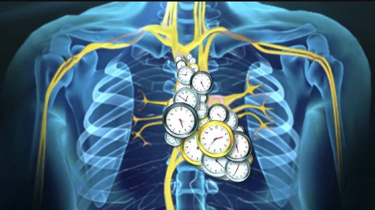 Interesting: fruit flies fed intermittently only live longer if they have a functioning circadian (sleep/wake) clock in internal organs. Perhaps fasting is less about hunger and more about resetting our internal clocks. tinyurl.com/y9mddhl5