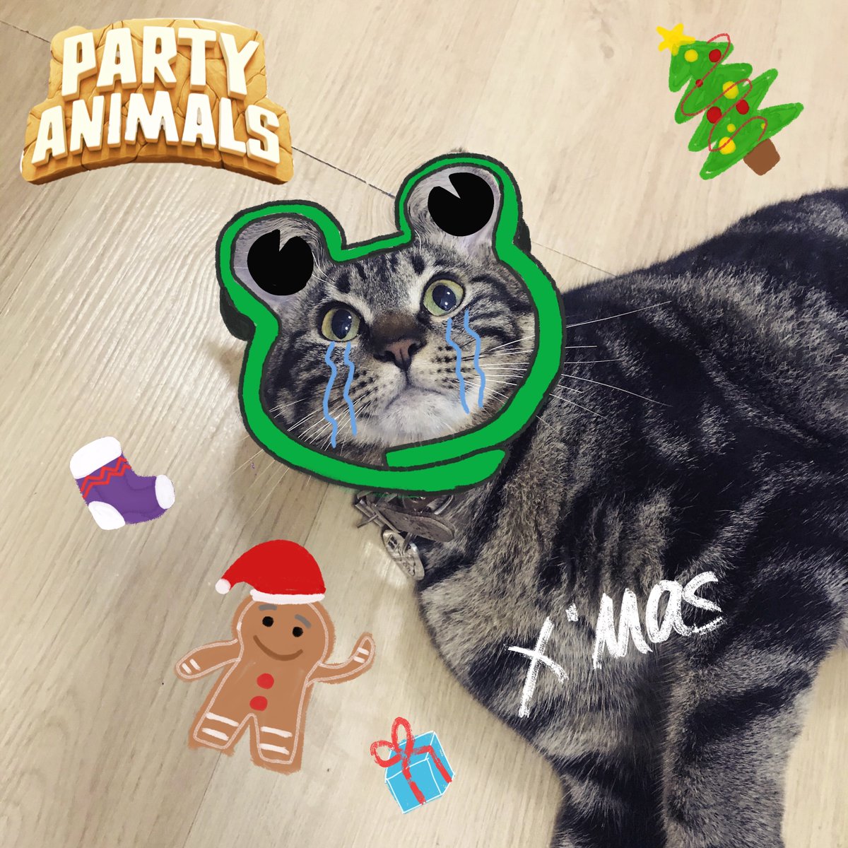 Party Animals On Twitter This Is Tt Tt Is A Munchkin Kitty She Likes To Make Popopo Sounds She S A Producer And She S Working Hard And That S A Wrap Thanks To All 뽀뽀뽀) is a south korean children's television series broadcast on munhwa broadcasting corporation (mbc). twitter