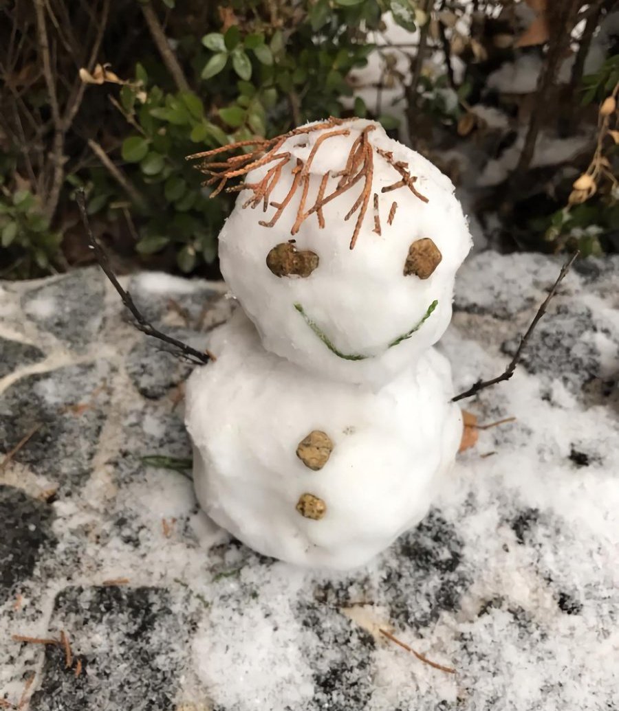 loreinesanluis's tweet image. first time sharing our current collection kasi hiya ako but these really made us happy (and brokedt 🤣), helped us stay sane &amp;amp; survive 2020!!! oh how did i get here HAHAHA 😭 anyway wishing everyone a happier and brighter 2021 ☃️🥰 #sklkolang #elsadoyouwanttobuildasnowman