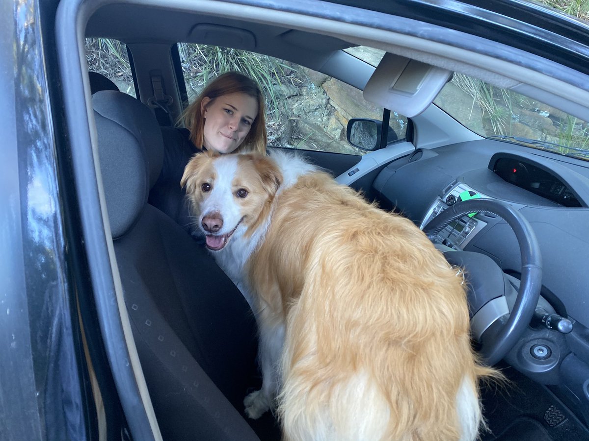 the time teja jokingly told boats to get in the front seat then he wouldn't leave,the time he was scared of the escalator,the time he wanted to hang out but my poo smelled,the time he was a lumberjack,boats was excellent as always