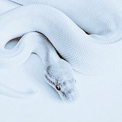 ㅤㅤ

       • #NarutoRP
       • INA / ENG
       • Semi - detailed
       • Crack / Serious
       • Canon / AU / MV
       • mainly not Sage Mode

ㅤ ㅤ