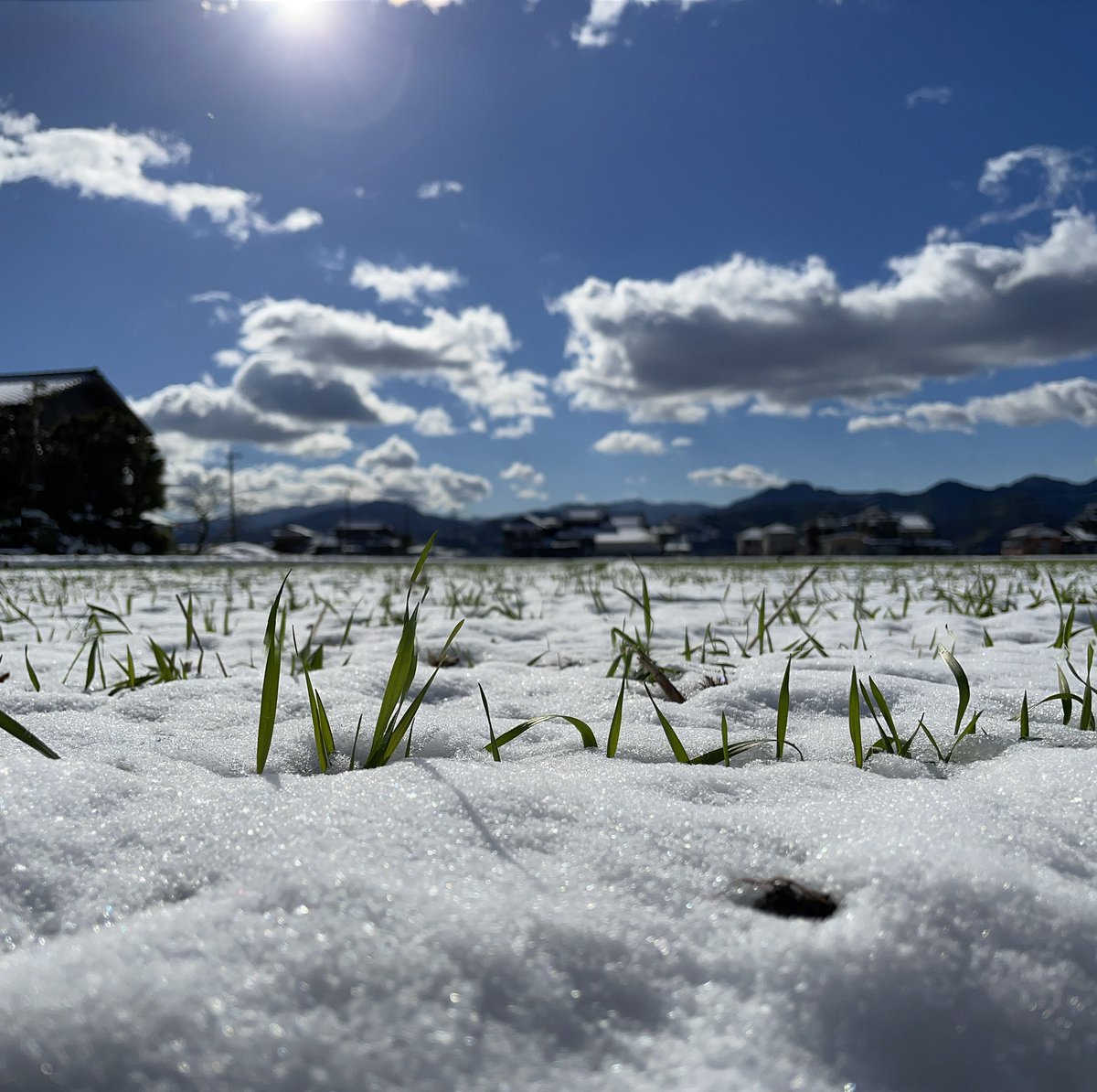 今年も一年お世話になりました！コロナだったり腰折れたりしましたが来年もよろしくお願いいたします！