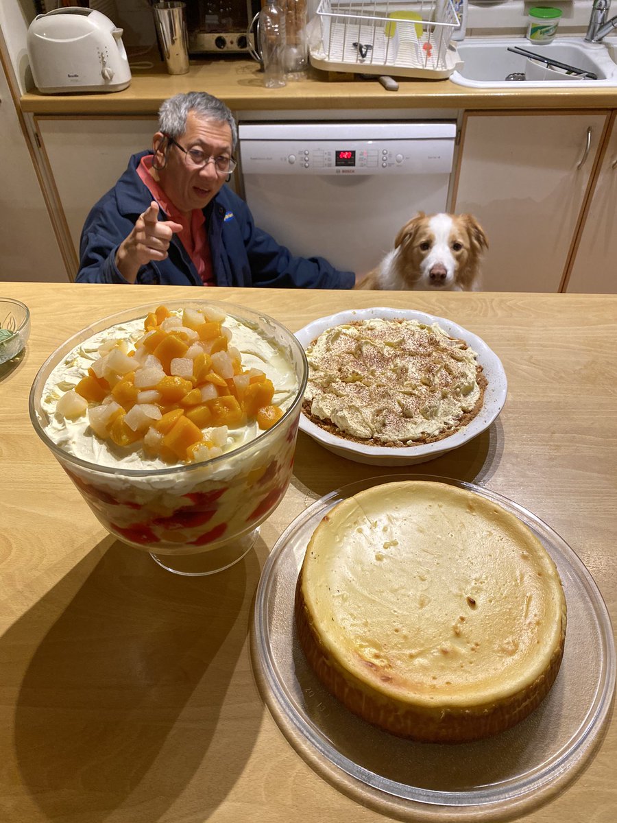 on my birthday I got THREE cakes and bought myself a little fossil kit where you dig bones out of plaster (it slapped)