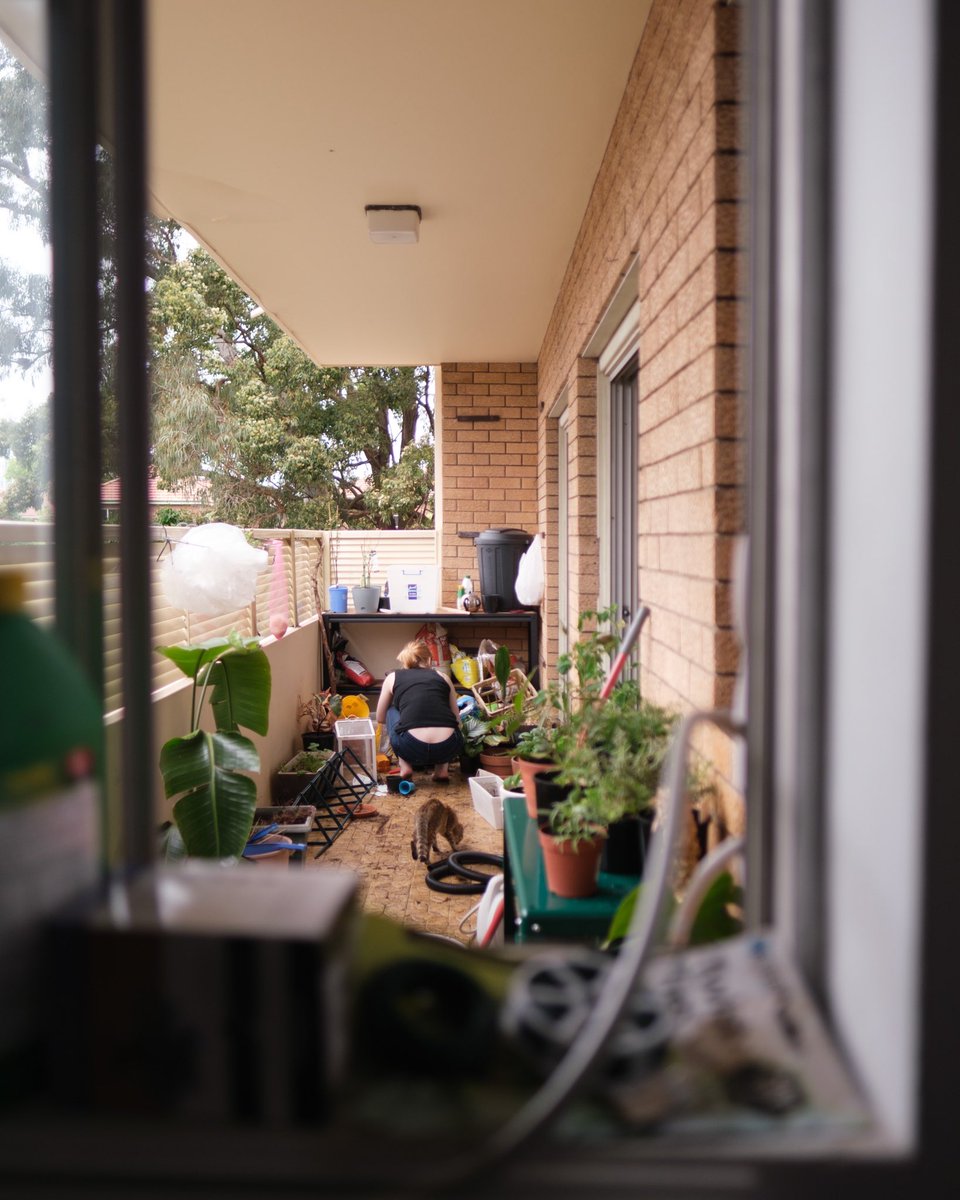 teja did a whole bunch of gardening and our balcony so lush. in fact, she turned my house into a home. it never felt like home before she moved in. (before and after pix of her moving in)