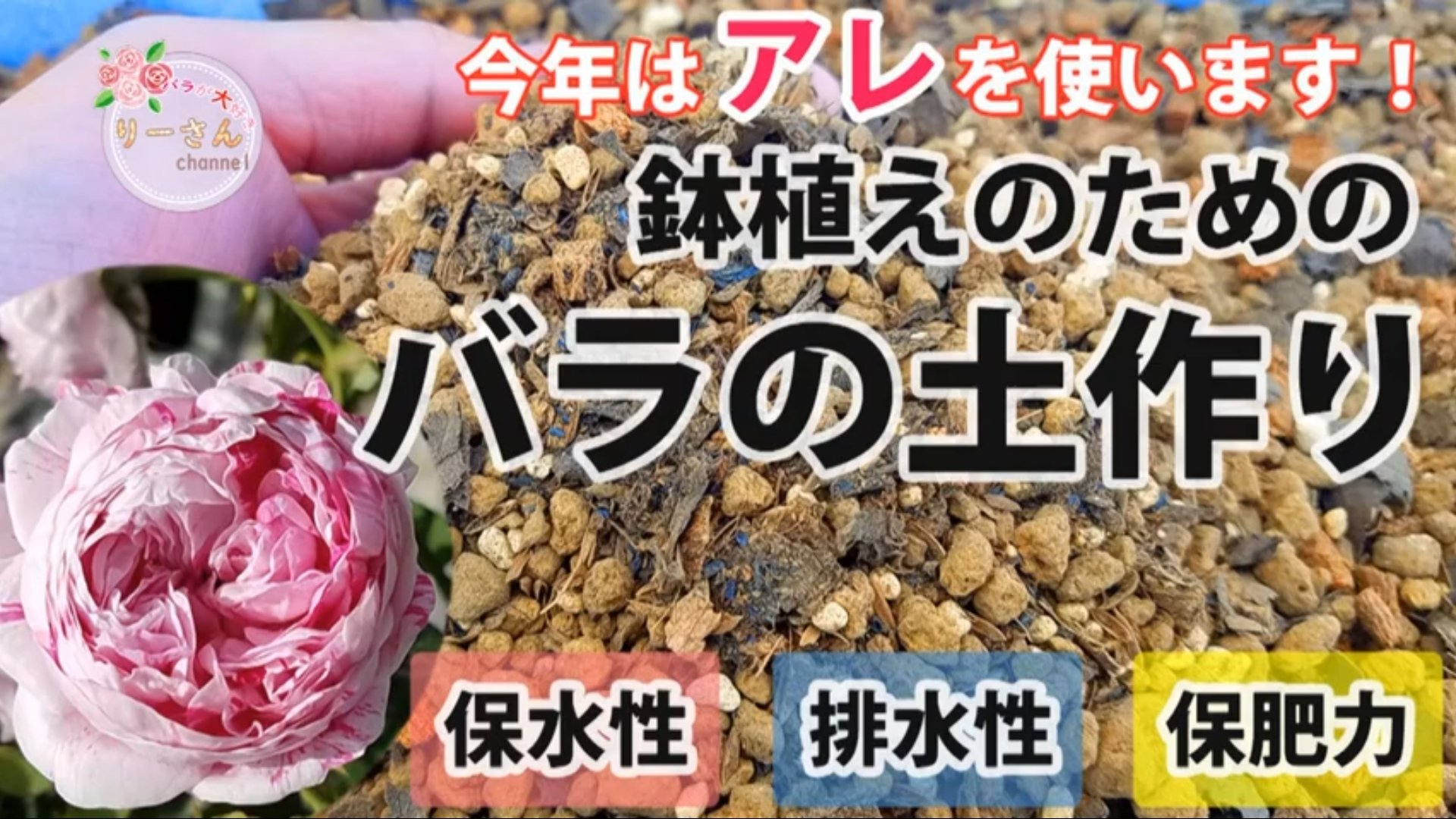 バラが大好きりーさん على تويتر バラの土作り 冬の植え替え用の土を自作します 来年はこの土で育てます よかったらチャンネルに遊びに来てください T Co Jpcn4nokom バラ バラの土 配合 土 ガーデニング Youtube ベラボン T バラが大好きりーさん على تويتر バラの土作り 冬の植え替え用の土を自作します 来年はこの土で育てます よかったらチャンネルに遊びに来てください T Co Jpcn4nokom バラ バラの土 配合 土 ガーデニング Youtube ベラボン T