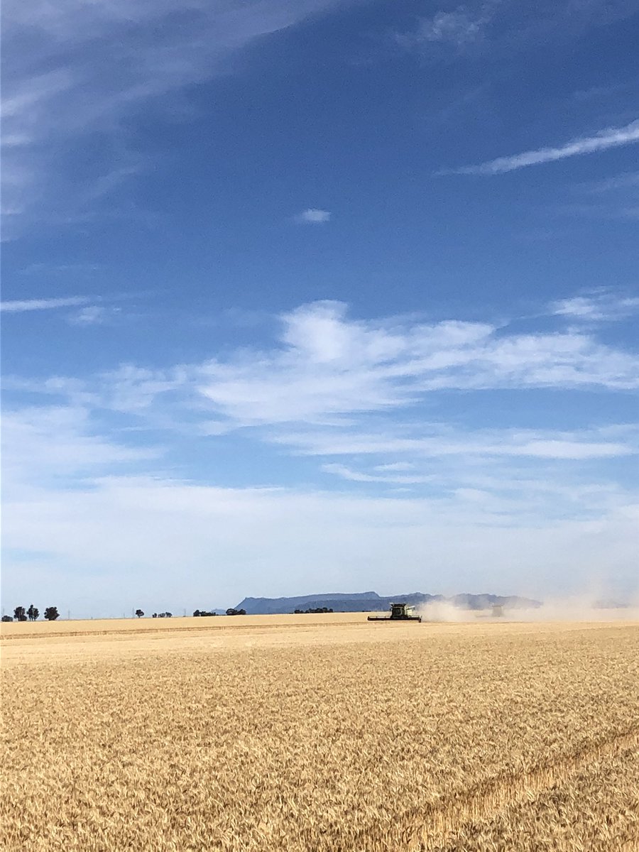 Today concludes an amazing harvest,maybe the best in my 41 attempts. It’s the final harvest of Templemore Partners as it is presently known. Leo &amp; I have received amazing support from family &amp; staff over the journey which we are forever grateful. Look forward to the next chapter