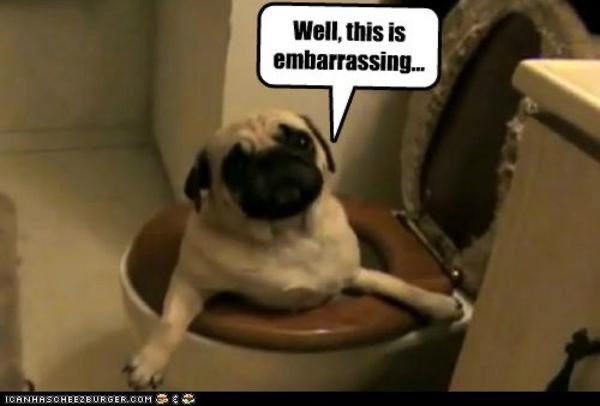 Rob (@rob_babo) on Twitter photo Watching the #CottonBowl2020 and the vaunted <a href="/SEC/">Southeastern Conference</a> defense is shall we say embarrassing. The East needs to work on improving the other half of the Conference 🤦🏻♂️ Watching the #CottonBowl2020 and the vaunted <a href="/SEC/">Southeastern Conference</a> defense is shall we say embarrassing. The East needs to work on improving the other half of the Conference 🤦🏻♂️