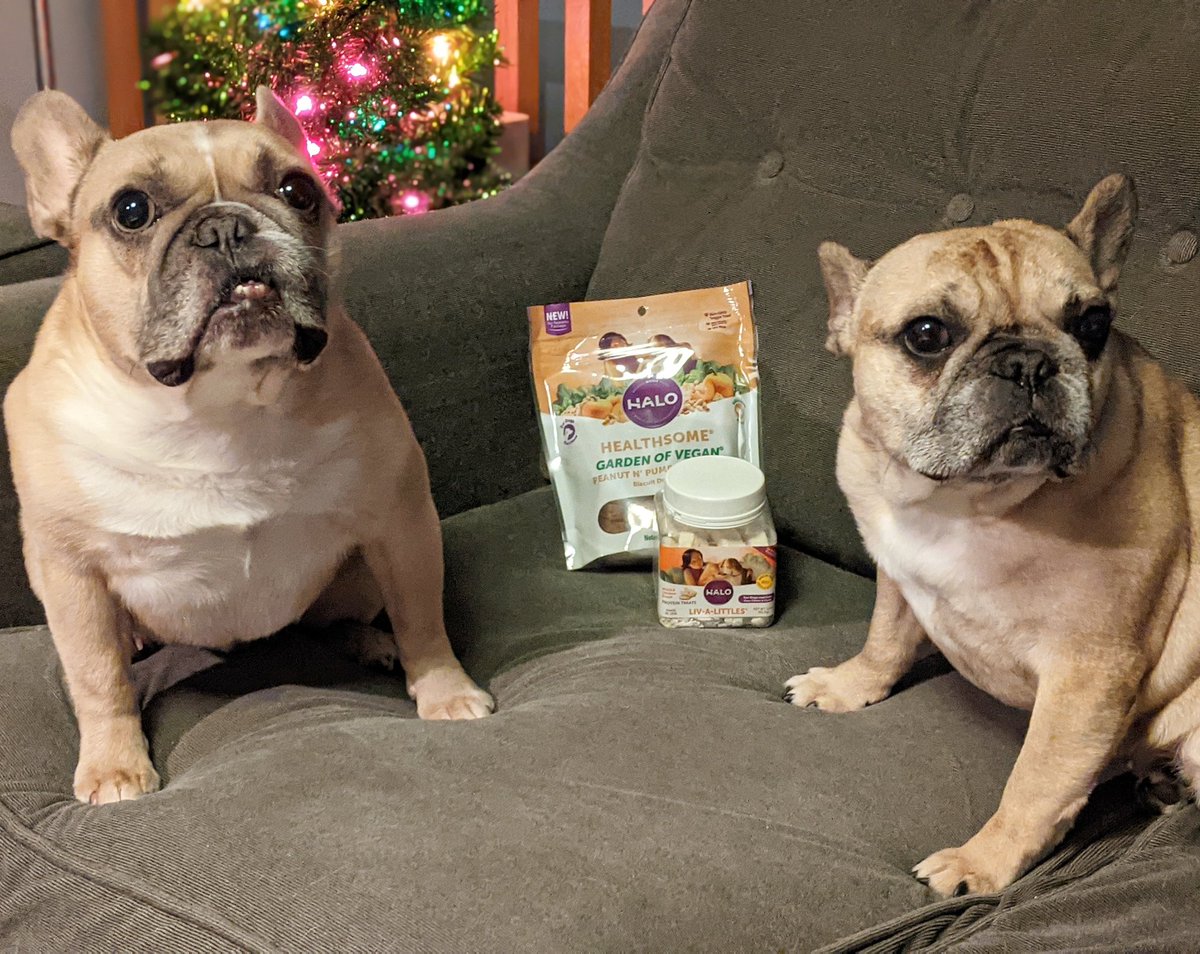 Setting our intention for next year...eat more snacks! 😋
<a href="/halopets/">Halo Pets</a> 
#Goodbye_2020 
#resolutions