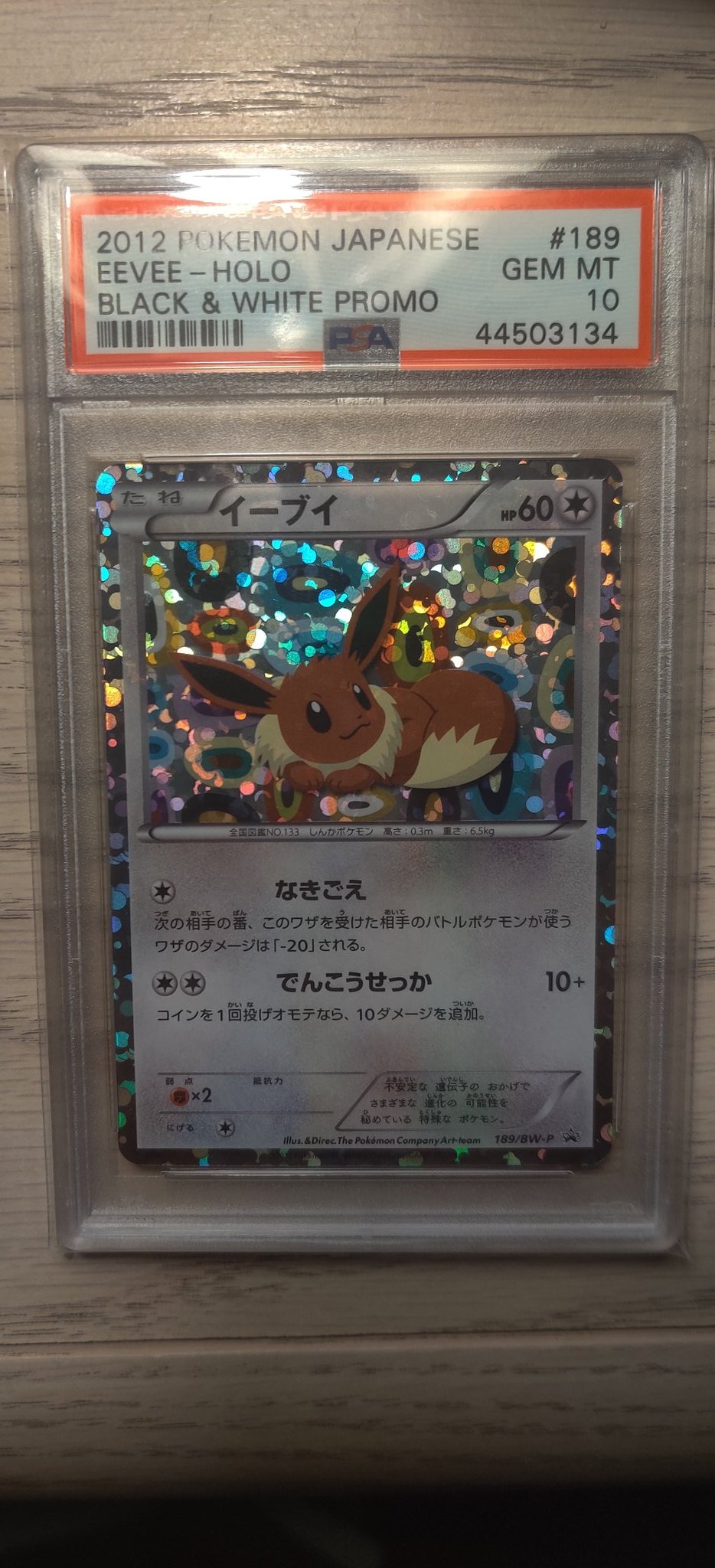 Mr E Oh Yeah I Have This Cool Eevee Card Btw Japanese Eevee Holo Black White Promo 1 Bw P Psa 10 Gem Mint Pop 17 Only 17 In The World