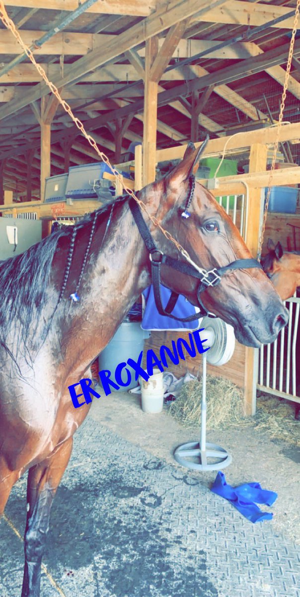 ShawStable tweet picture