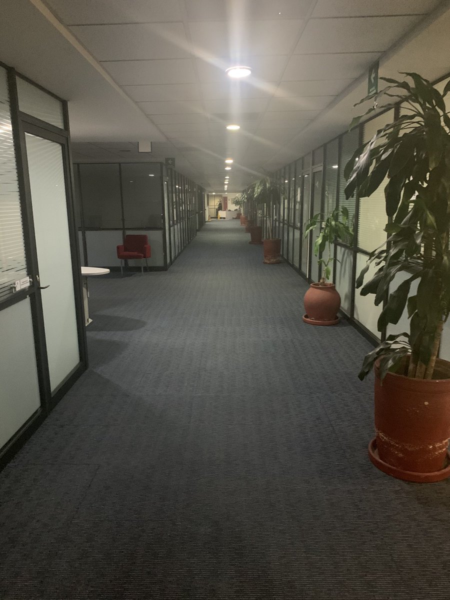 RodrigoGaribay_'s tweet photo. Última caminata nocturna por los pasillos de la DGSC en el año 😜 https://t.co/WA3y75eUGw