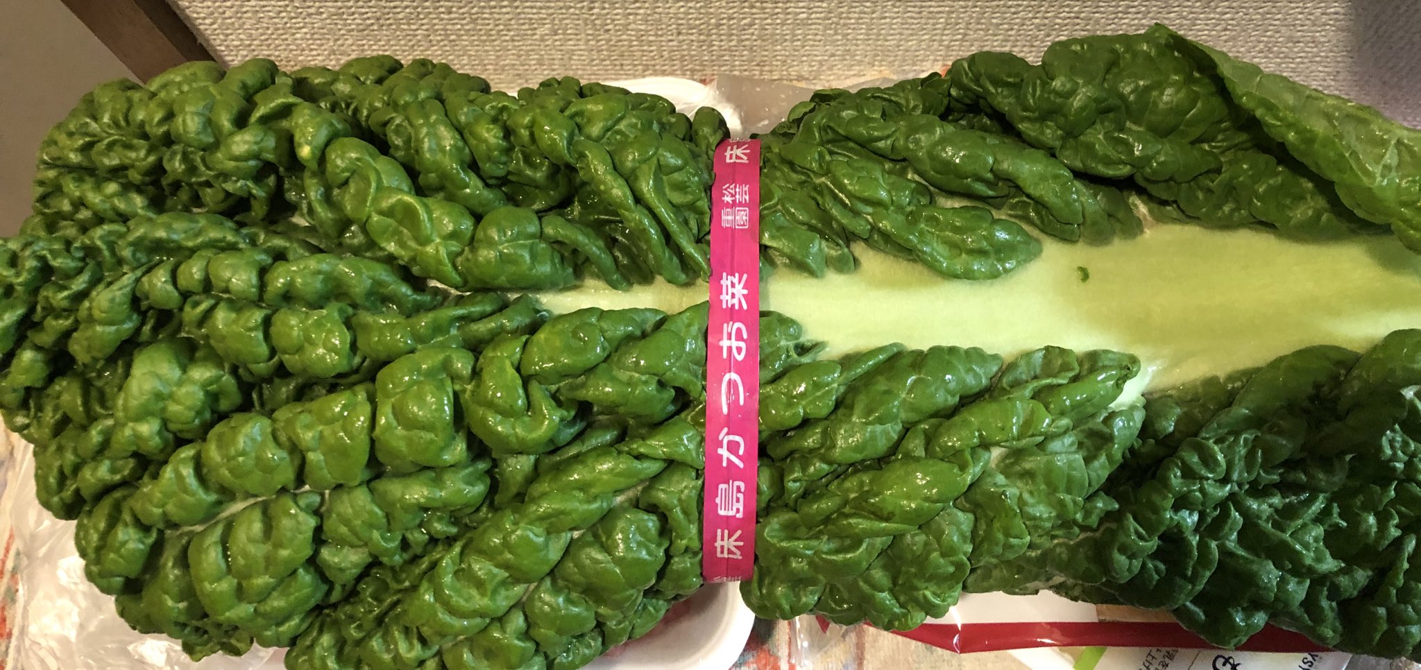 Mute かつお菜 福岡から取り寄せたけど 近所のスーパー2軒のうち1軒で かなり安く売ってた D T Co Ykiod9kmk8 Twitter Mute かつお菜 福岡から取り寄せたけど 近所のスーパー2軒のうち1軒で かなり安く売ってた D T Co Ykiod9kmk8 Twitter