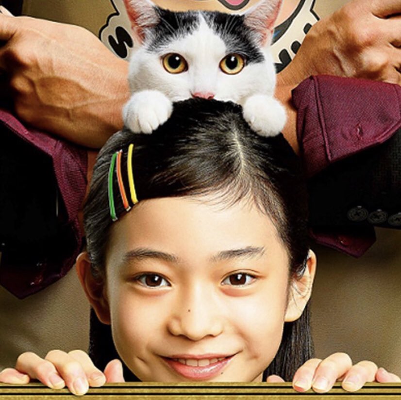 himawaridot's tweet photo. アイコン決め〜！私のアイコンを決めて欲しいです！投票はコメントに、よろしくお願いします😏🙏 https://t.co/Gmu3qHxVe8