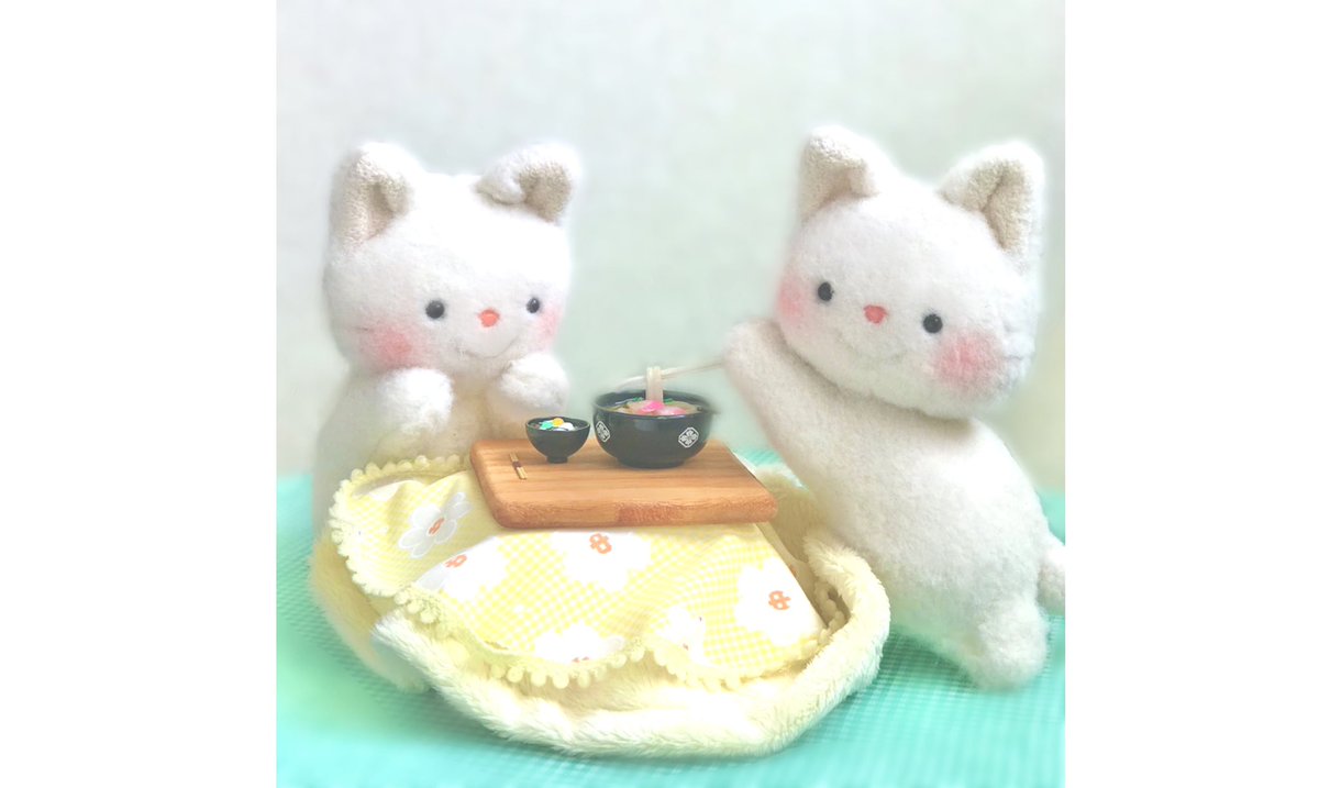 2020年はたくさんお友だちなってくれてありがとうにゃん✨
普段と違う年だったけれど、思い出に残る年になりましたにゃん😽😽💕
ちょっと早いけれど年越し蕎麦🎶
おもちゃんはとっても大きな年越しうどん✨　

皆様もよい年をお過ごしくださいにゃん✨🌙