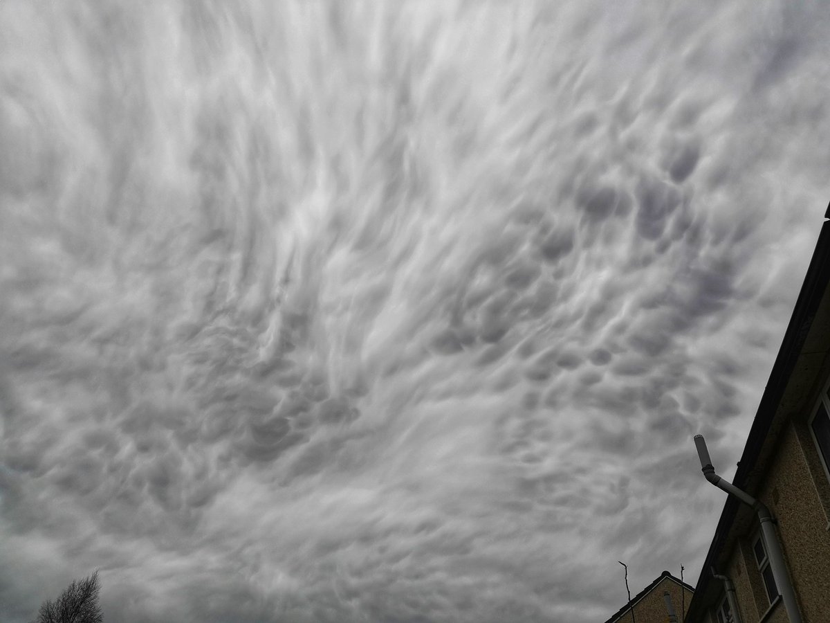 Let's take a look back at 2020 & the pick of my favourite photos I've taken each month.JANUARY #January was a Meh month weatherwise, some frosts & some stunning sunrises about especially up The Wrekin.Some great mammatus clouds on the 7th & some crocus to end the month.