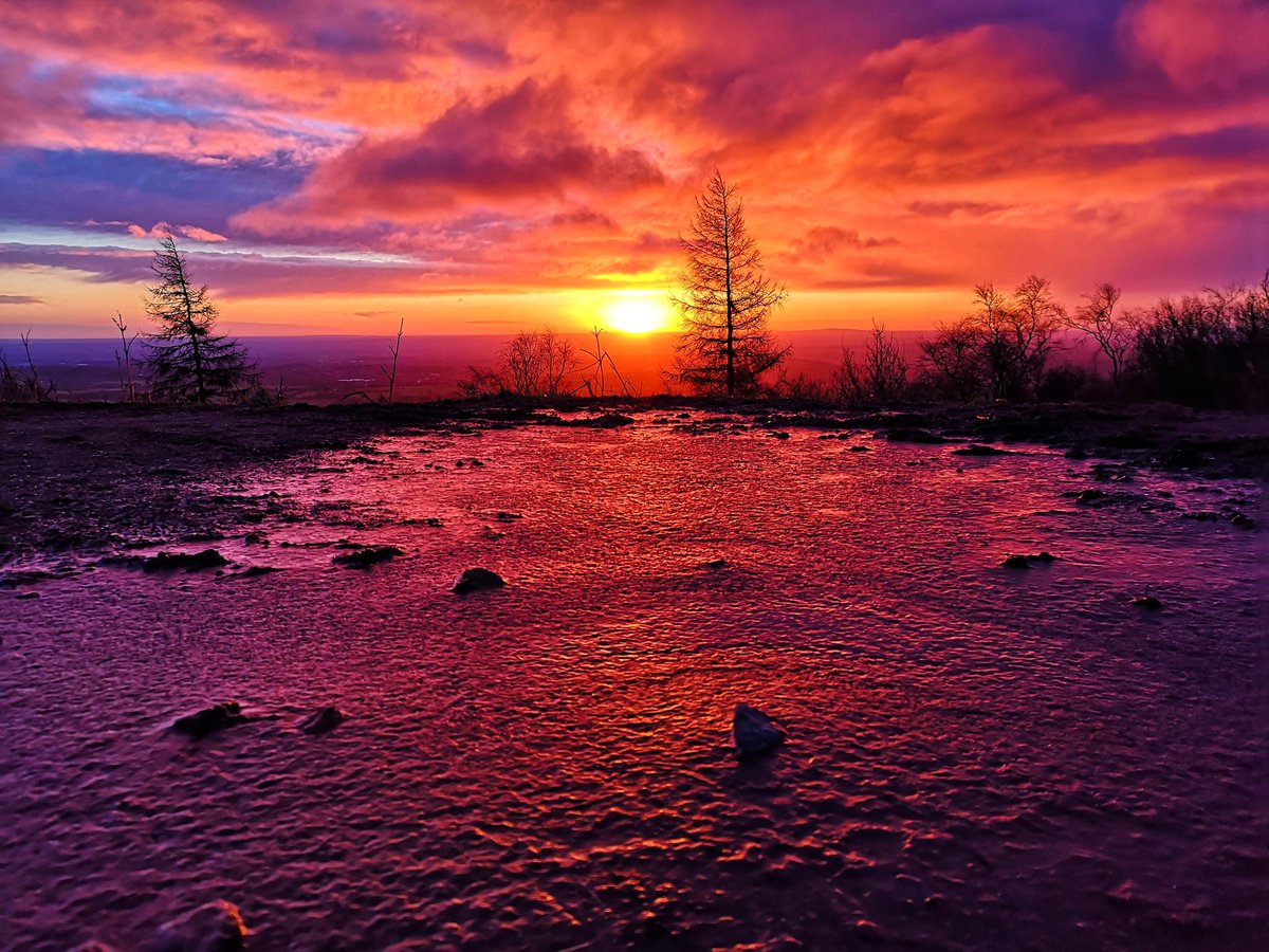 Let's take a look back at 2020 & the pick of my favourite photos I've taken each month.JANUARY #January was a Meh month weatherwise, some frosts & some stunning sunrises about especially up The Wrekin.Some great mammatus clouds on the 7th & some crocus to end the month.
