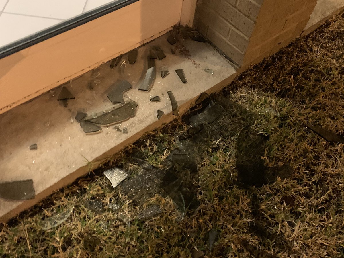 Brittany Muller tweet media