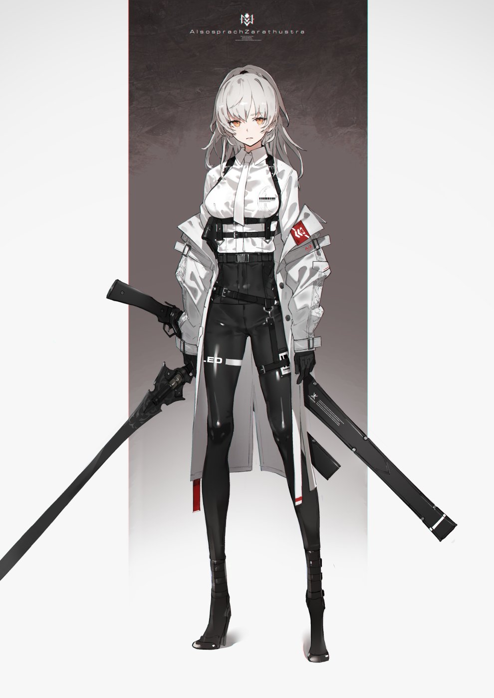 Mysterious Neco Z | TYPE-MOON Wiki | Fandom