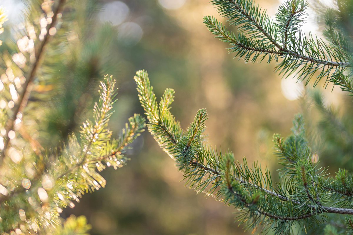 Fortum_Oyj's tweet image. Vuoden 2020 suosituimmat kirjoitukset #ForTheDoersBlog’issa käsittelivät vetytaloutta ja energian varastointia. Kiitos lukijoillemme ja bloggareillemme! 

✍️ Lisää postauksia ensi vuonna - tilaa uutiskirje niin saat ne suoraan sähköpostiisi! fortum.fi/tietoa-meista/…