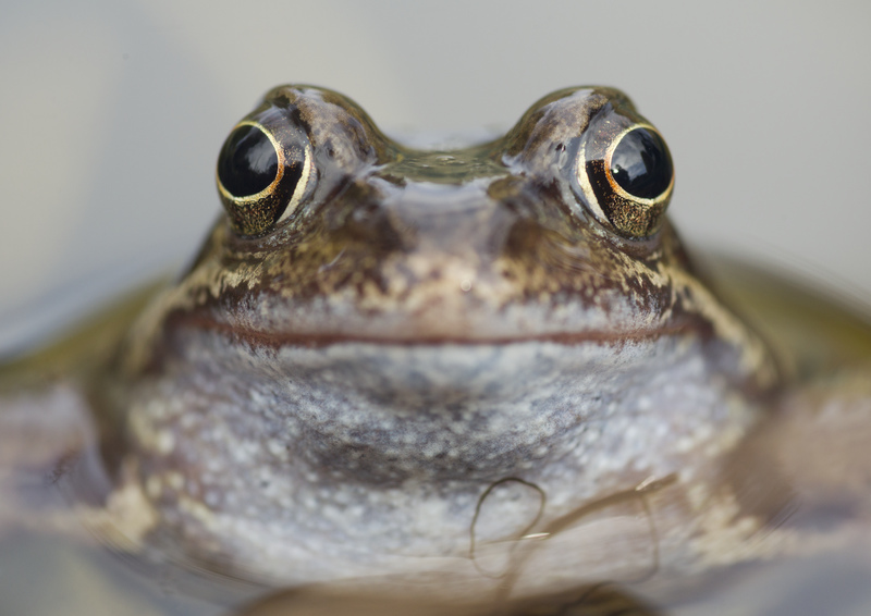 Derbyshire Wildlife Trust tweet media