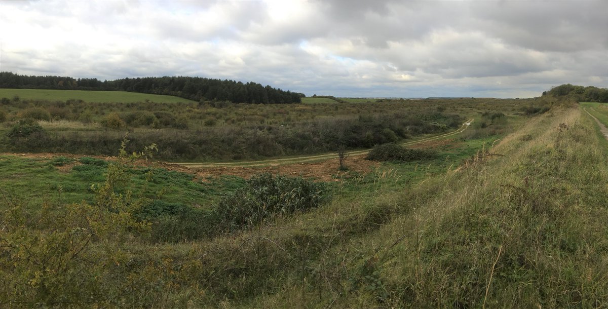 3. Bulwick Estate, Northants. Very early days. Looking at potential for rewilding part of the estate, although some impressive natural regeneration already underway in old quarry workings. Subsequently connected them with  @FoFineshade next door. Bigger, better, more joined up!