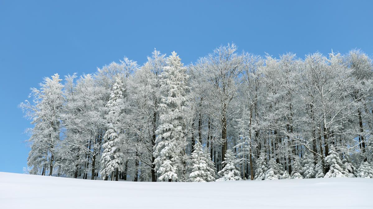 AbtSwitzerland's tweet image. In those difficult moments when we cannot travel, we offer you to discover, virtually, some of Switzerland&apos;s magical places.

This is Mieschegg above Herbetswil in the Thal Nature Park in the Jura Mountains.

© Switzerland Tourism