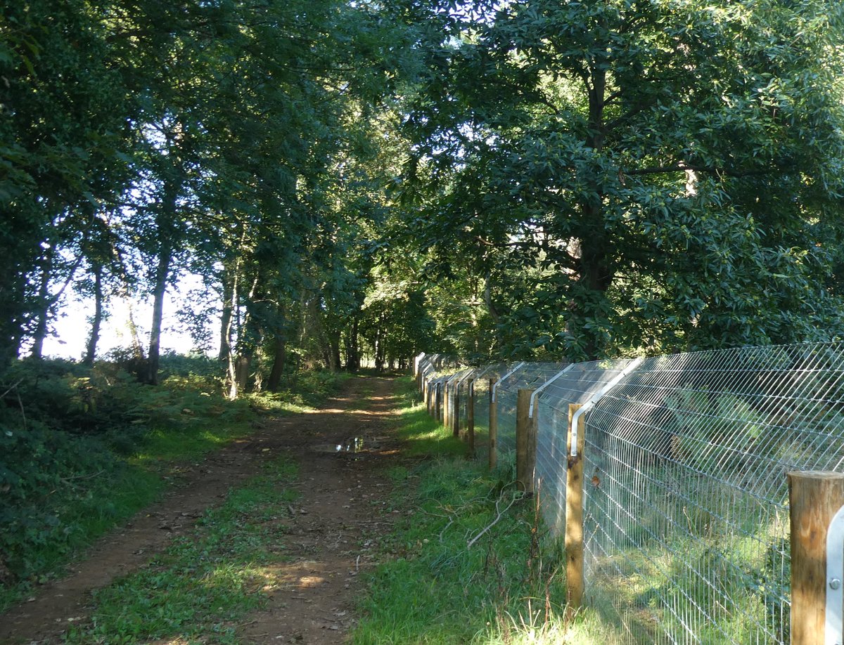 4.  @WildKenHill, Norfolk. Really impressive site and landowning family. Strategic, driven and dynamic. Helped them get started in a meeting a couple of years ago, and really impressed to see how fast they've moved. Beaver enclosure up and running and more ambitious plans ahead.