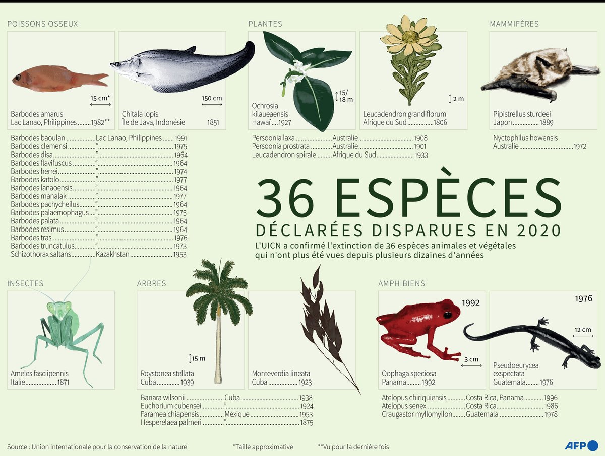 Вымирающие виды животных на английском. Species that are extinct. Species that are extinct. Species произношение. Species that are extinct.