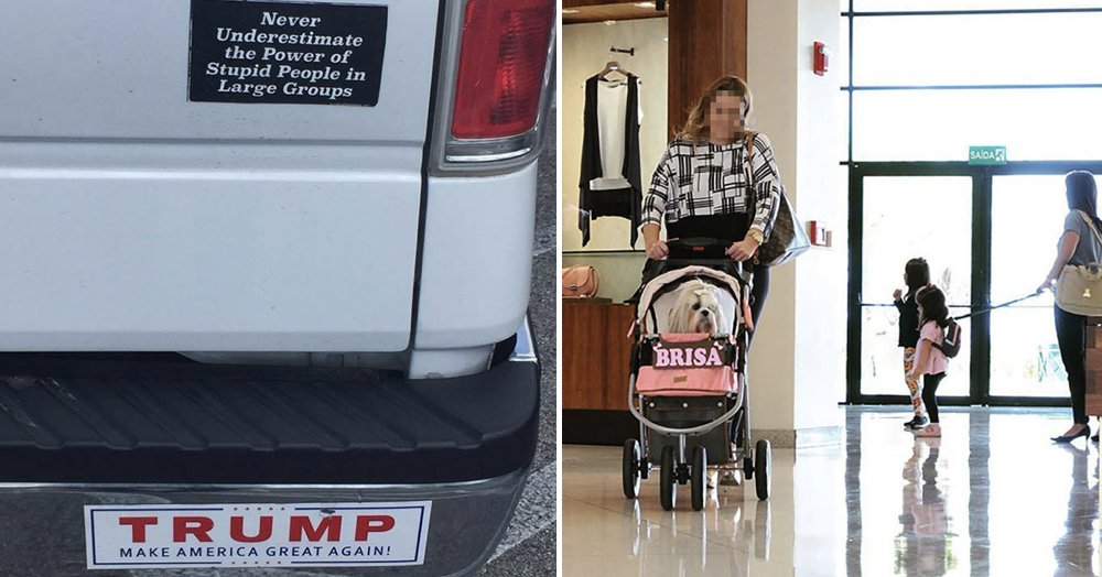 ThePoke's tweet image. Simply 13 photos that define the word ‘irony’ with hilarious accuracy #recap
thepoke.co.uk/2019/10/16/sim…