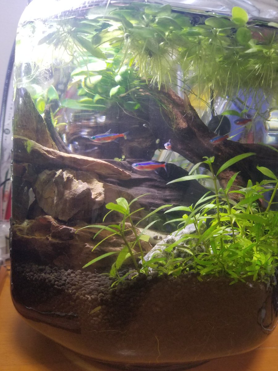 えぐリウム 初心者ボトルアクア Vli9upqul0lenre Twitter