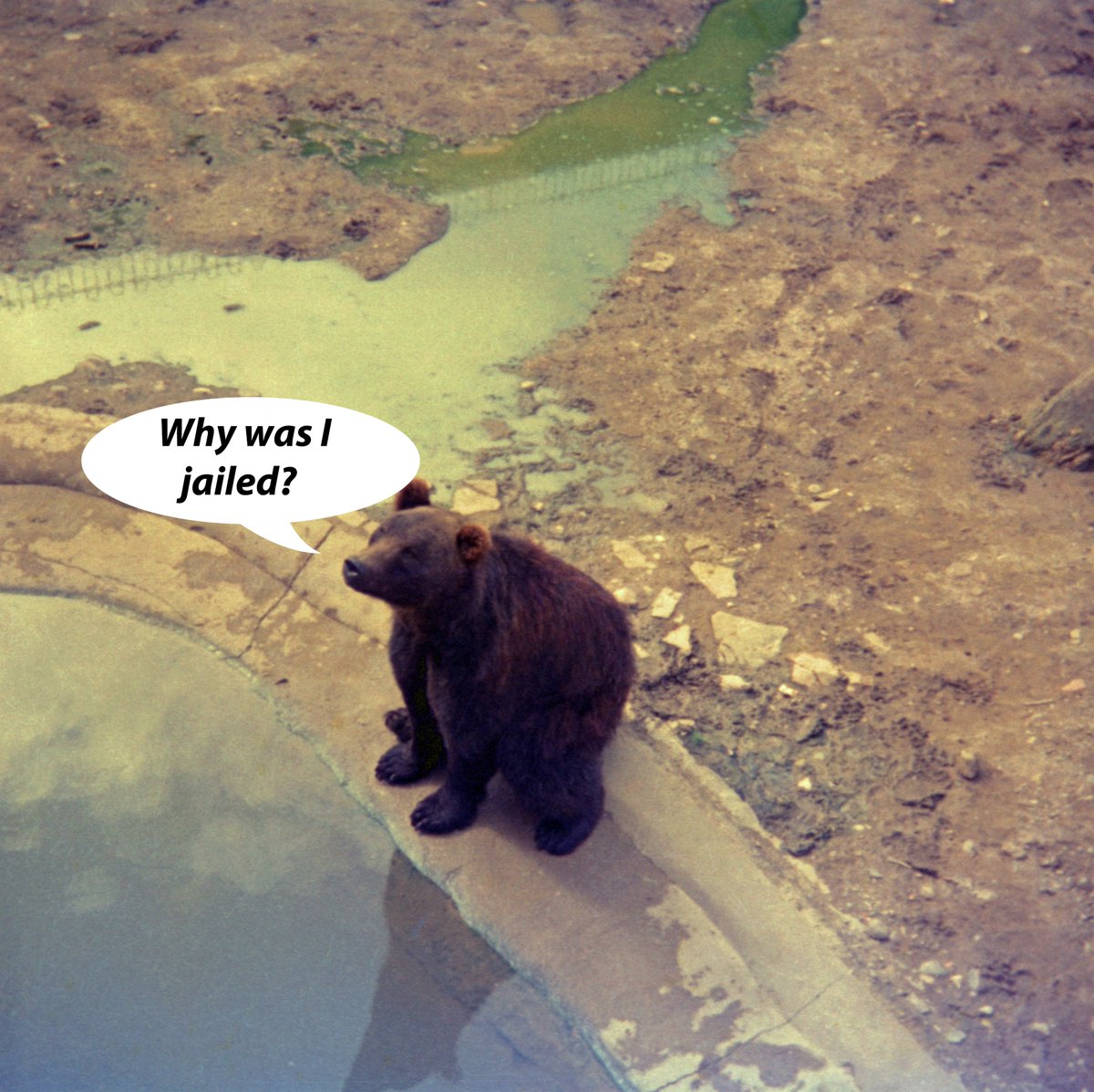 Mike Huskisson tweet media