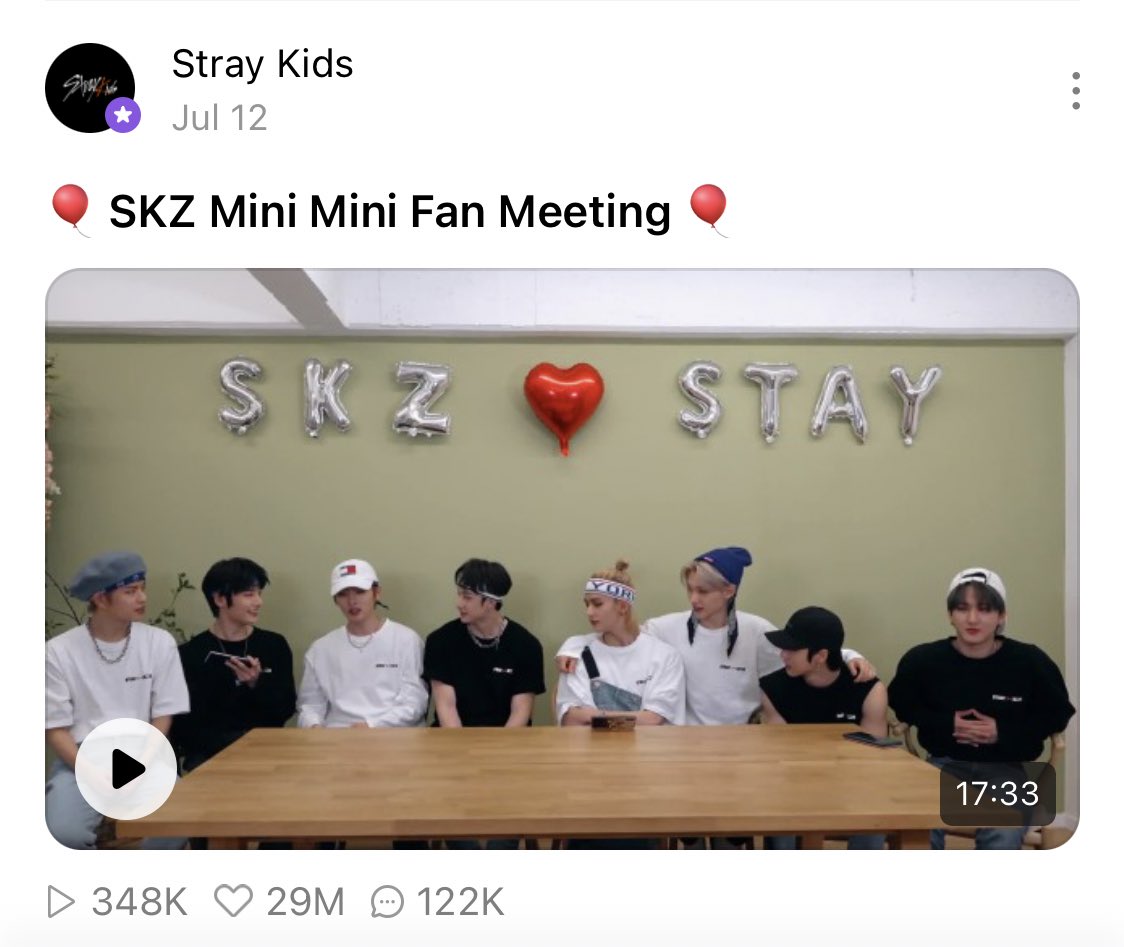 July 2020GO生 PromotionSKZ Mini Mini Fan Meeting