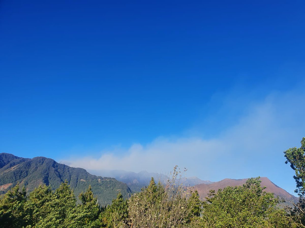 hemajitphukon's tweet photo. #WildFire has started at the #DzukoValley 2/3 days back from #Nagaland side &amp; now it crossed Mount AsIi the highest peak of #Manipur
I request Honorable @narendramodi sir to take immediate necessary action for #Biodiversity Hotspot zone of Undivided #Dehing_Patkai

@NBirenSingh https://t.co/KMJpNfqApQ