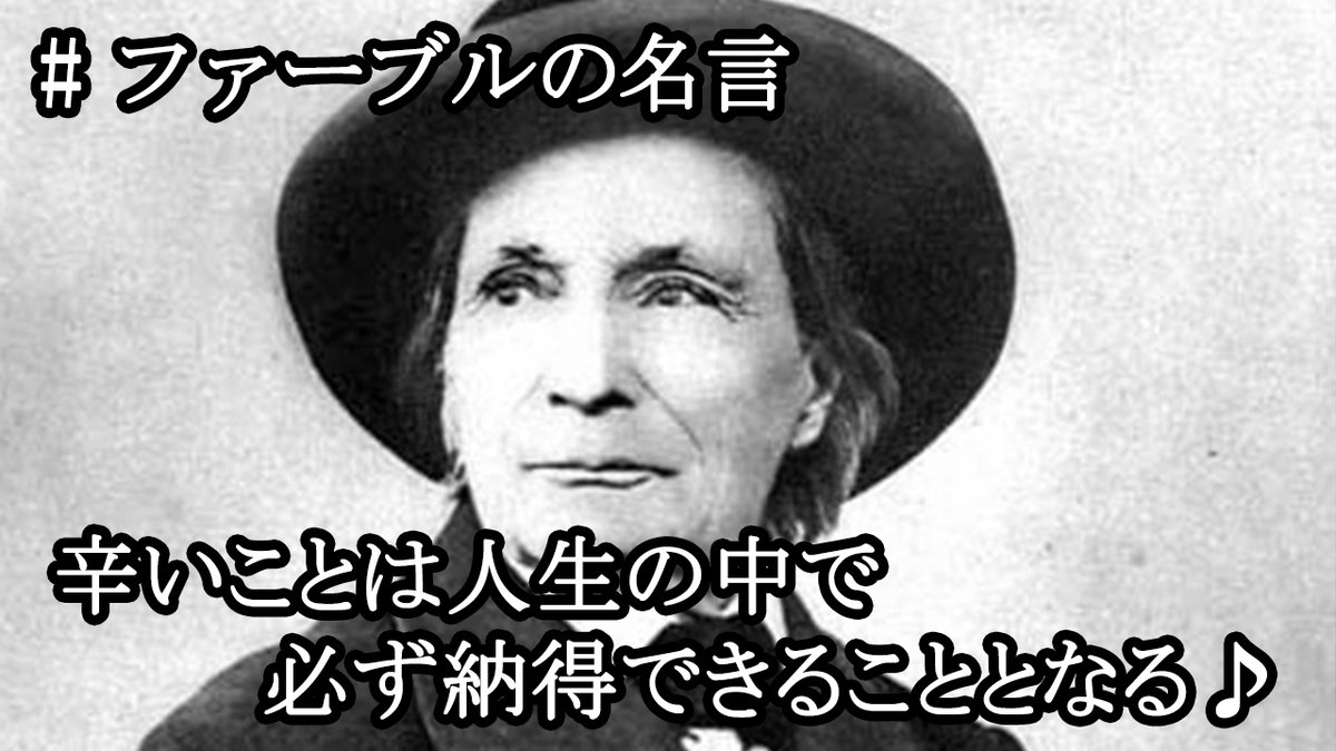 虫語 Twitter Search 虫語 Twitter Search