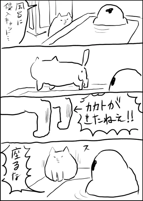 踵汚くないですか? 