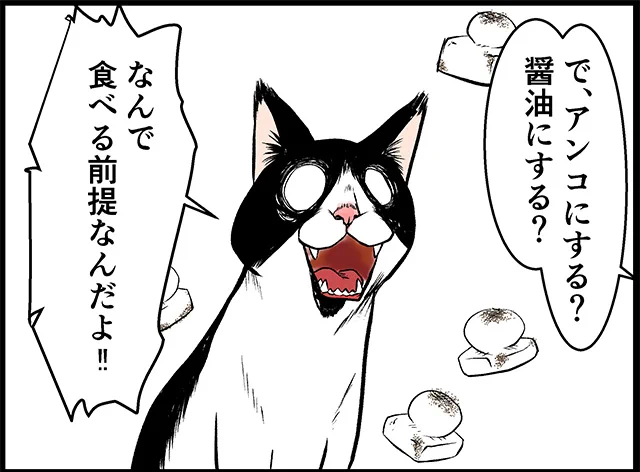 猫パンチTVで大晦日も4コマ漫画更新中です。  ネコぐらし #ネコまんが #WEB漫画 