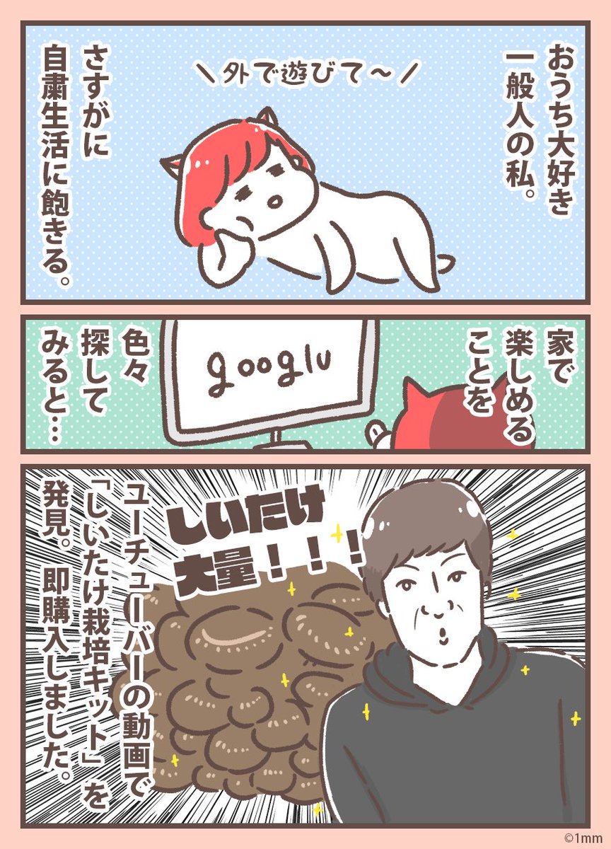 #2020年ザッと振り返り
1月 のんくらさんセミナー参加
2月 ボドゲイベント主催
3月 コロナふざけるな
4月 しいたけと暮らす、そして食す
5月 ひろきさんの #90daysoffice 参加
6月 久々にデートした、パートナーシップ、アサーションを勉強し始める