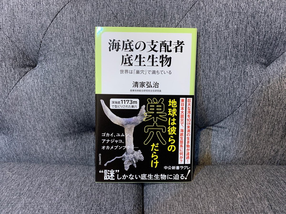 たなっちょ Hayate Tanaka ゆるふわ生物学 On Twitter 海底の支配者底生生物 世界は 巣穴で満ちている サンゴ礁や岩礁域と比べると ちょい地味な 砂泥底 の生物の研究についての新書 読了したら 砂泥底が地味 なんて一生言えなくなり さっきは紹介の