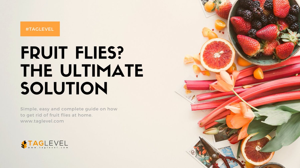 iTAGLevel's tweet image. Simple guide on how to get rid of fruit flies at home.  Check it out! 

taglevel.com/how-to-get-rid…

#fruitflies #DIY #taglevel #flytraps #homeremedy #fruitfly #triedandtrue #diyhome