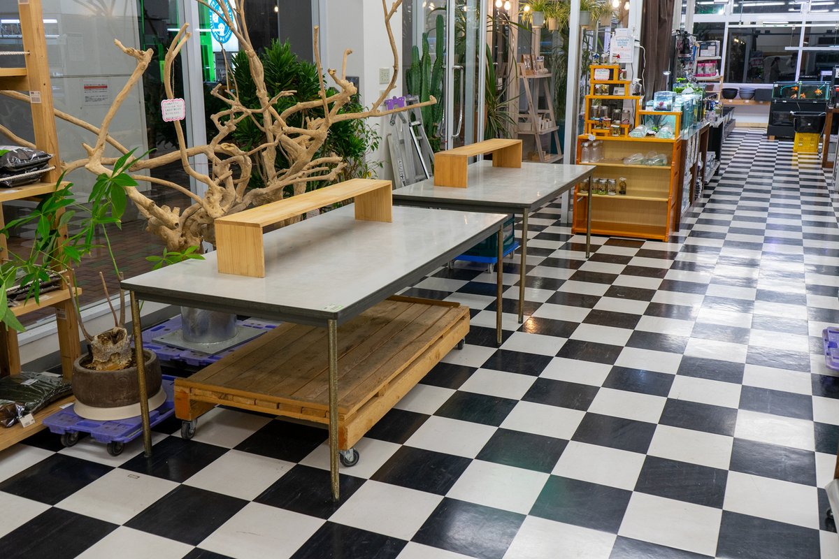 チャーム公式 明日12時より館林店にて初売りが開始です 楽しみにしている皆様へ追加でチラ見せ W ご来店の際は 事故防止のため 駐車場の場内にはお並びにならないよう また 感染防止対策として店内入場を100名までに制限する予定です ご協力